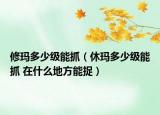 修瑪多少級(jí)能抓（休瑪多少級(jí)能抓 在什么地方能捉）