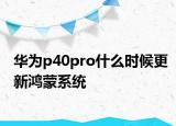 華為p40pro什么時候更新鴻蒙系統(tǒng)
