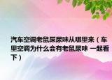 汽車空調(diào)老鼠屎尿味從哪里來（車?yán)锟照{(diào)為什么會有老鼠尿味 一起看下）