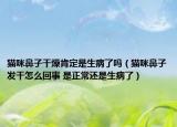 貓咪鼻子干燥肯定是生病了嗎（貓咪鼻子發(fā)干怎么回事 是正常還是生病了）