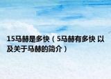 15馬赫是多快（5馬赫有多快 以及關于馬赫的簡介）