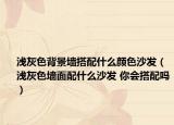 淺灰色背景墻搭配什么顏色沙發(fā)（淺灰色墻面配什么沙發(fā) 你會搭配嗎）