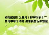卯指的是什么生肖（卯字代表十二生肖中哪個動物 進來我告訴你答案）