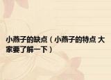 小燕子的缺點（小燕子的特點 大家要了解一下）