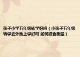 孩子小學(xué)五年級轉(zhuǎn)學(xué)好嗎（小孩子五年級轉(zhuǎn)學(xué)去外地上學(xué)好嗎 如何綜合衡量）