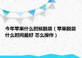 今年蘋果什么時(shí)候脫袋（蘋果脫袋什么時(shí)間最好 怎么操作）