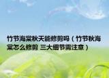 竹節(jié)海棠秋天能修剪嗎（竹節(jié)秋海棠怎么修剪 三大細(xì)節(jié)需注意）