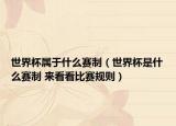 世界杯屬于什么賽制（世界杯是什么賽制 來(lái)看看比賽規(guī)則）