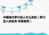 中國(guó)境內(nèi)羅興亞人怎么來的（羅興亞人的由來 來看看吧）