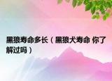 黑狼壽命多長(zhǎng)（黑狼犬壽命 你了解過嗎）