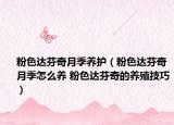 粉色達(dá)芬奇月季養(yǎng)護(hù)（粉色達(dá)芬奇月季怎么養(yǎng) 粉色達(dá)芬奇的養(yǎng)殖技巧）