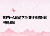 蔥籽什么時間下種 要注意播種時間和溫度
