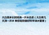 大白菜多長時(shí)間澆一次水合適（大白菜幾天澆一次水 教你如何做好科學(xué)澆水管理）
