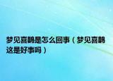 夢(mèng)見(jiàn)喜鵲是怎么回事（夢(mèng)見(jiàn)喜鵲 這是好事嗎）