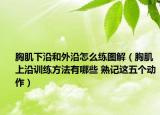 胸肌下沿和外沿怎么練圖解（胸肌上沿訓(xùn)練方法有哪些 熟記這五個(gè)動(dòng)作）