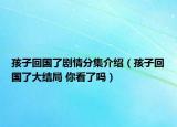 孩子回國了劇情分集介紹（孩子回國了大結(jié)局 你看了嗎）