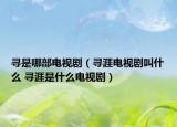 尋是哪部電視?。▽ぱ碾娨晞〗惺裁?尋涯是什么電視劇）