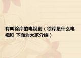 有叫徐岸的電視?。ㄐ彀妒鞘裁措娨晞?下面為大家介紹）