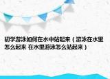 初學(xué)游泳如何在水中站起來(lái)（游泳在水里怎么起來(lái) 在水里游泳怎么站起來(lái)）