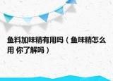 魚料加味精有用嗎（魚味精怎么用 你了解嗎）