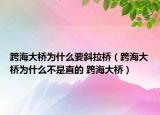 跨海大橋為什么要斜拉橋（跨海大橋為什么不是直的 跨海大橋）