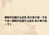 柳樹開花是什么征兆 給大家介紹一下這個詞（柳樹開花是什么征兆 給大家介紹一下）