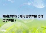 養(yǎng)豬好學(xué)嗎（如何自學(xué)養(yǎng)豬 怎樣自學(xué)養(yǎng)豬）