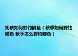 初秋如何野釣鯽魚(yú)（秋季如何野釣鯽魚(yú) 秋季怎么野釣鯽魚(yú)）