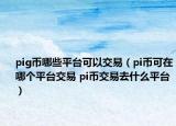 pig幣哪些平臺可以交易（pi幣可在哪個平臺交易 pi幣交易去什么平臺）