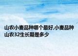 山農(nóng)小麥品種哪個(gè)最好,小麥品種山農(nóng)32生長(zhǎng)期是多少