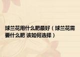 球蘭花用什么肥最好（球蘭花需要什么肥 該如何選擇）