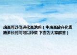 雞糞可以倒進(jìn)化糞池嗎（生雞糞放在化糞池多長時間可以種菜 下面為大家解答）