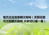 蟹爪蘭花需要曬太陽嗎（茉莉花蟹爪蘭能曬太陽嗎 大家可以看一看）