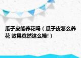 瓜子皮能養(yǎng)花嗎（瓜子皮怎么養(yǎng)花 效果竟然這么棒!）