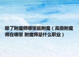 除了附魔師哪里能附魔（高級附魔師在哪里 附魔師是什么職業(yè)）