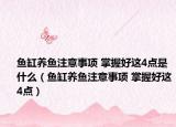 魚缸養(yǎng)魚注意事項(xiàng) 掌握好這4點(diǎn)是什么（魚缸養(yǎng)魚注意事項(xiàng) 掌握好這4點(diǎn)）