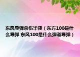 東風導彈殺傷半徑（東方100是什么導彈 東風100是什么彈道導彈）