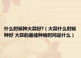 什么時候種大蒜好?（大蒜什么時候種好 大蒜的最佳種植時間是什么）