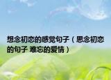 想念初戀的感覺句子（思念初戀的句子 難忘的愛情）