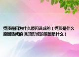 禿頂是因為什么原因造成的（禿頂是什么原因選成的 禿頂形成的原因是什么）