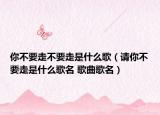 你不要走不要走是什么歌（請你不要走是什么歌名 歌曲歌名）