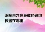 陽陵泉穴在身體的確切位置在哪里