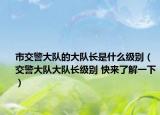 市交警大隊的大隊長是什么級別（交警大隊大隊長級別 快來了解一下）