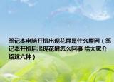 筆記本電腦開機(jī)出現(xiàn)花屏是什么原因（筆記本開機(jī)后出現(xiàn)花屏怎么回事 給大家介紹這六種）