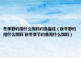 冬季野釣用什么餌料釣魚(yú)最佳（秋冬野釣用什么餌料 秋冬季節(jié)釣魚(yú)用什么餌料）