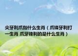 尖牙利爪指什么生肖（爪鋒牙利打一生肖 爪牙鋒利的是什么生肖）