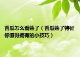 香瓜怎么看熟了（香瓜熟了特征 你值得擁有的小技巧）