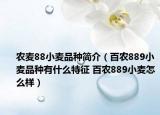 農(nóng)麥88小麥品種簡介（百農(nóng)889小麥品種有什么特征 百農(nóng)889小麥怎么樣）