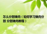 怎么分割豬肉（如何學(xué)習(xí)豬肉分割 分割豬肉教程）