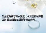 怎么區(qū)分翡翠和水沫玉（水沫玉和翡翠的區(qū)別 這些細(xì)微差別你看得出來(lái)嗎）